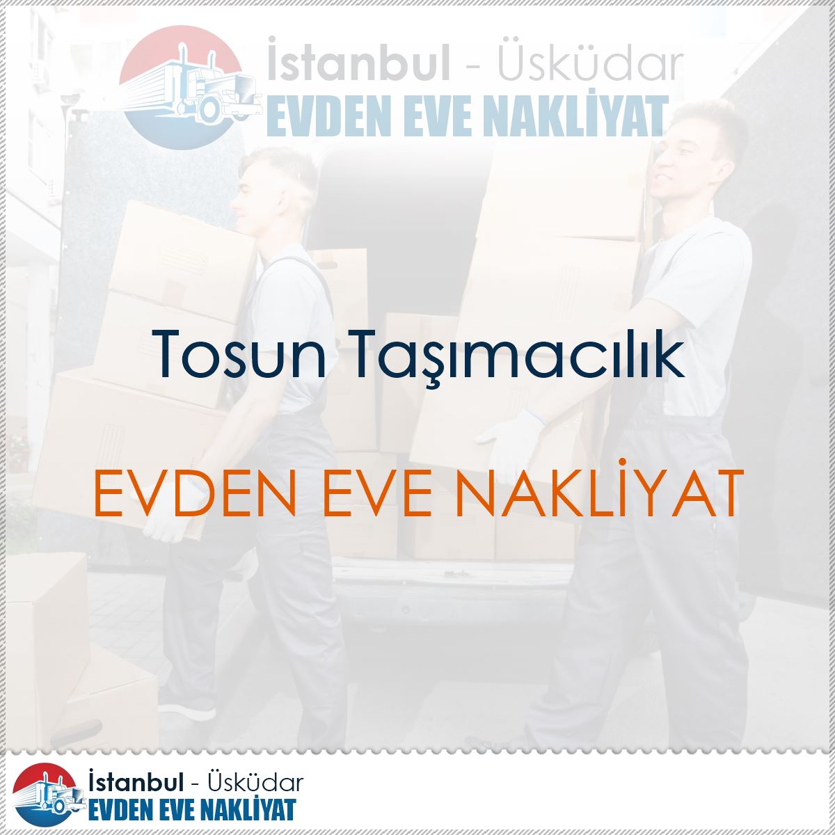Tosun Taşımacılık logo